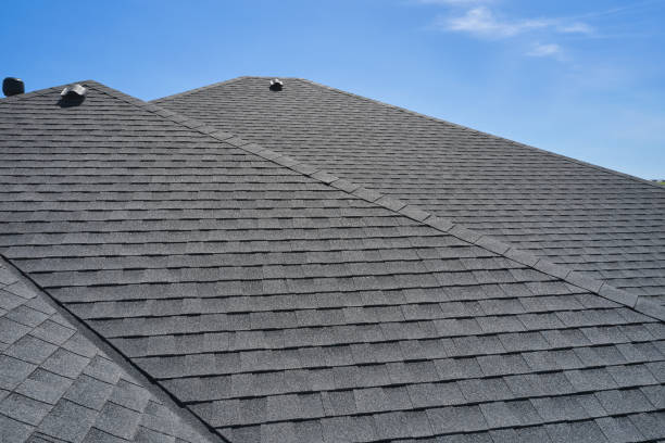 Best Sheet Metal Roofing  in Princeton, MO