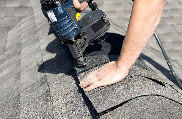 Best Asphalt Shingle Roofing  in Princeton, MO